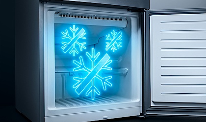 noFrost bei Elektro Kraus in Langensendelbach